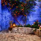 Peru | A garden in Saint Catherine's Monastery, Arequipa, Peru