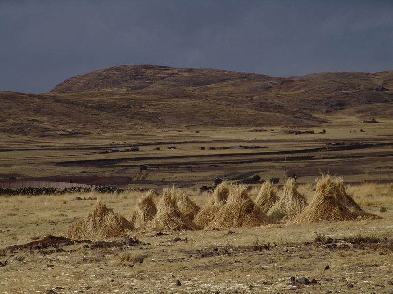 Peru - Altiplano