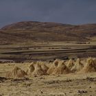 Peru - Altiplano