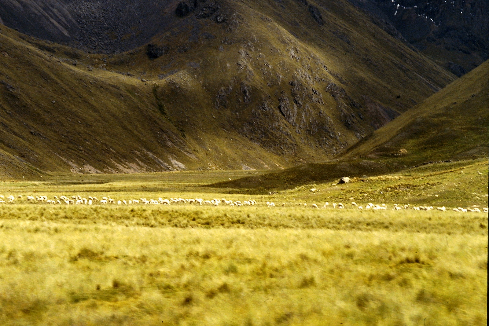 Peru, Altiplano