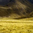 Peru, Altiplano