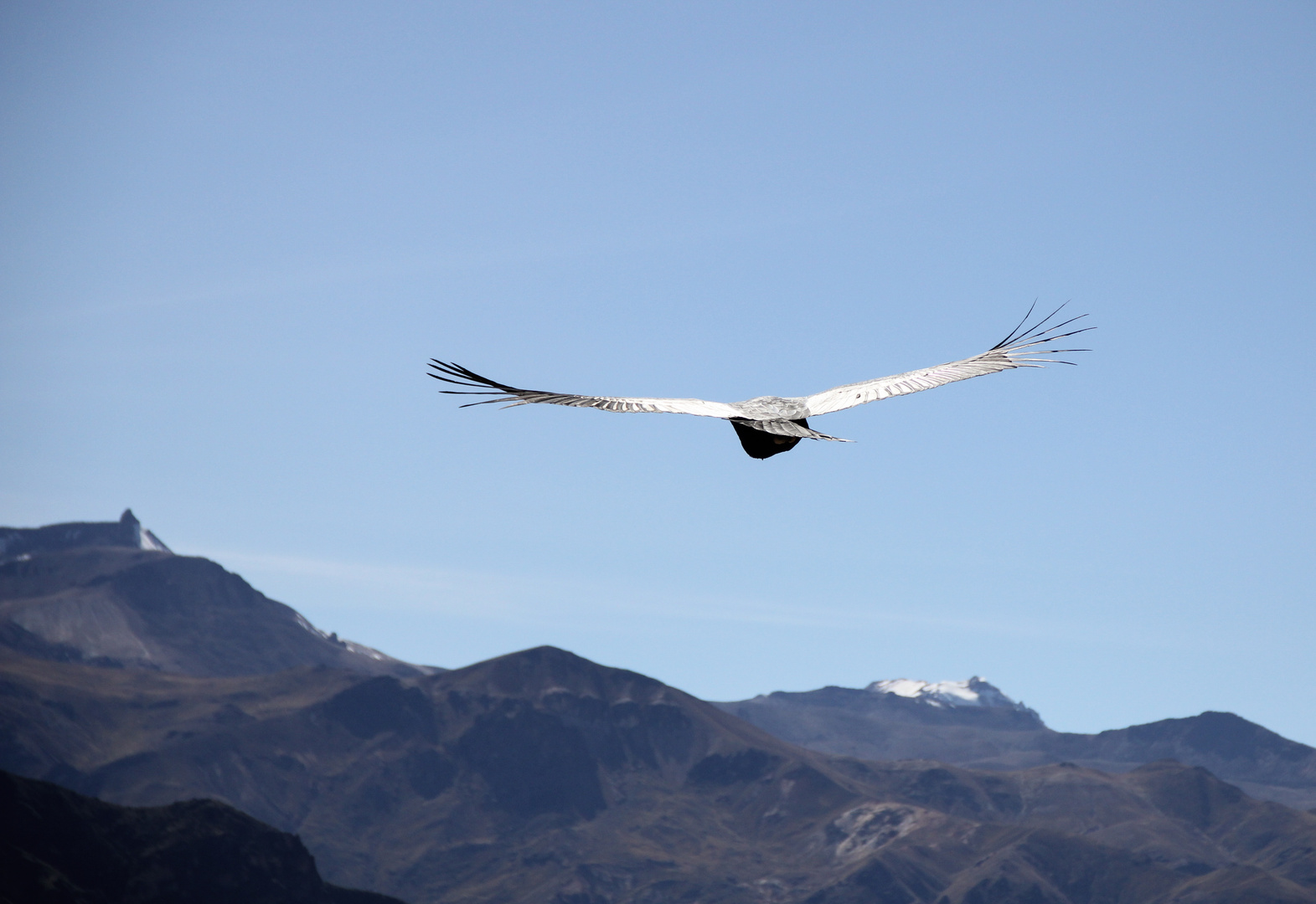 Peru, Colca Tal