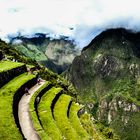 Peru | Cultivation terraces in Machupicchu