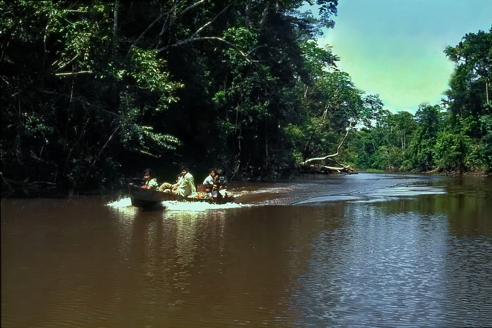 Perú: Im Amazonas Regenwald