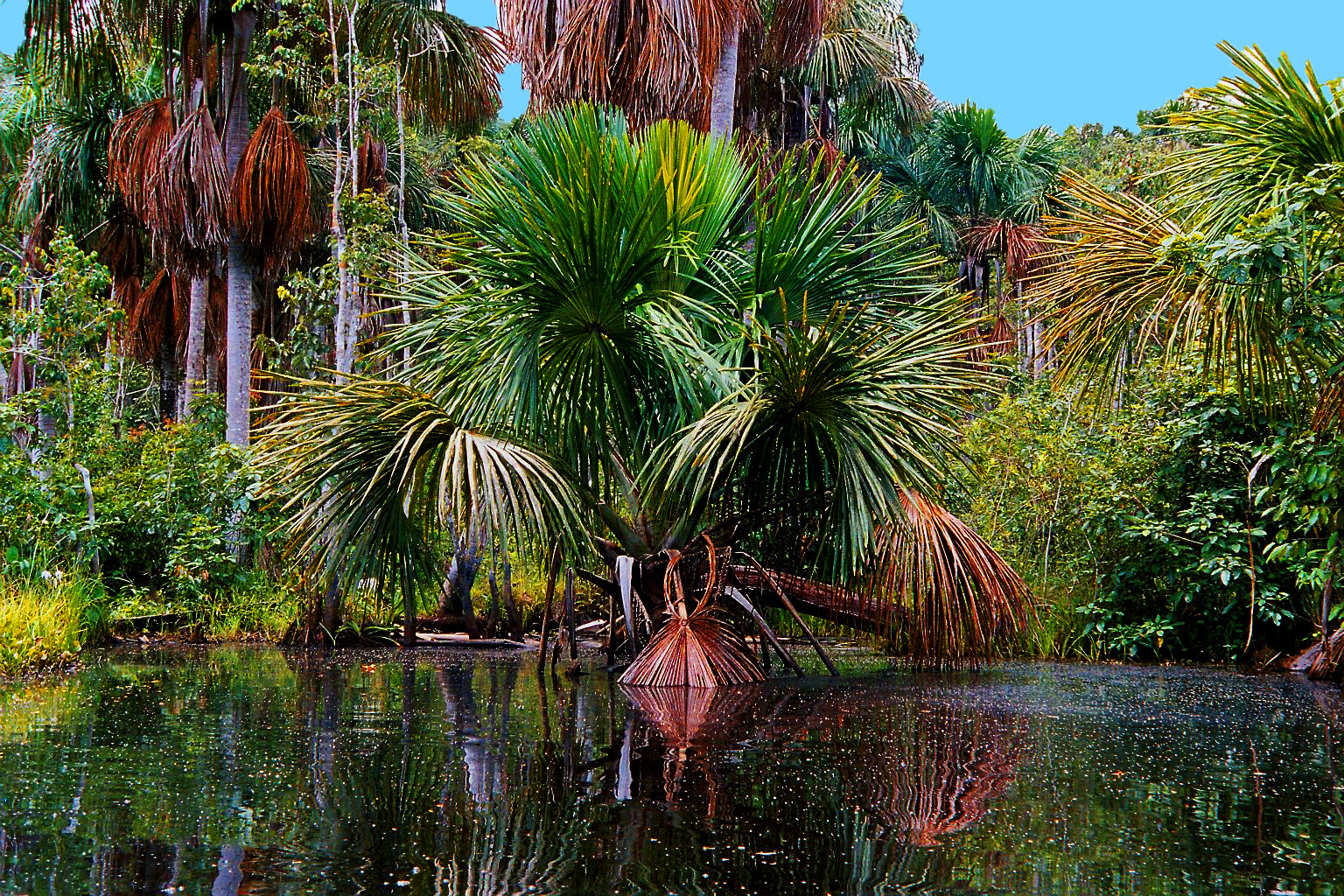 Peru im Regenwald