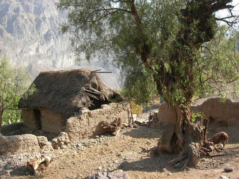 Peru - Lehmhütte im Colca Canyon