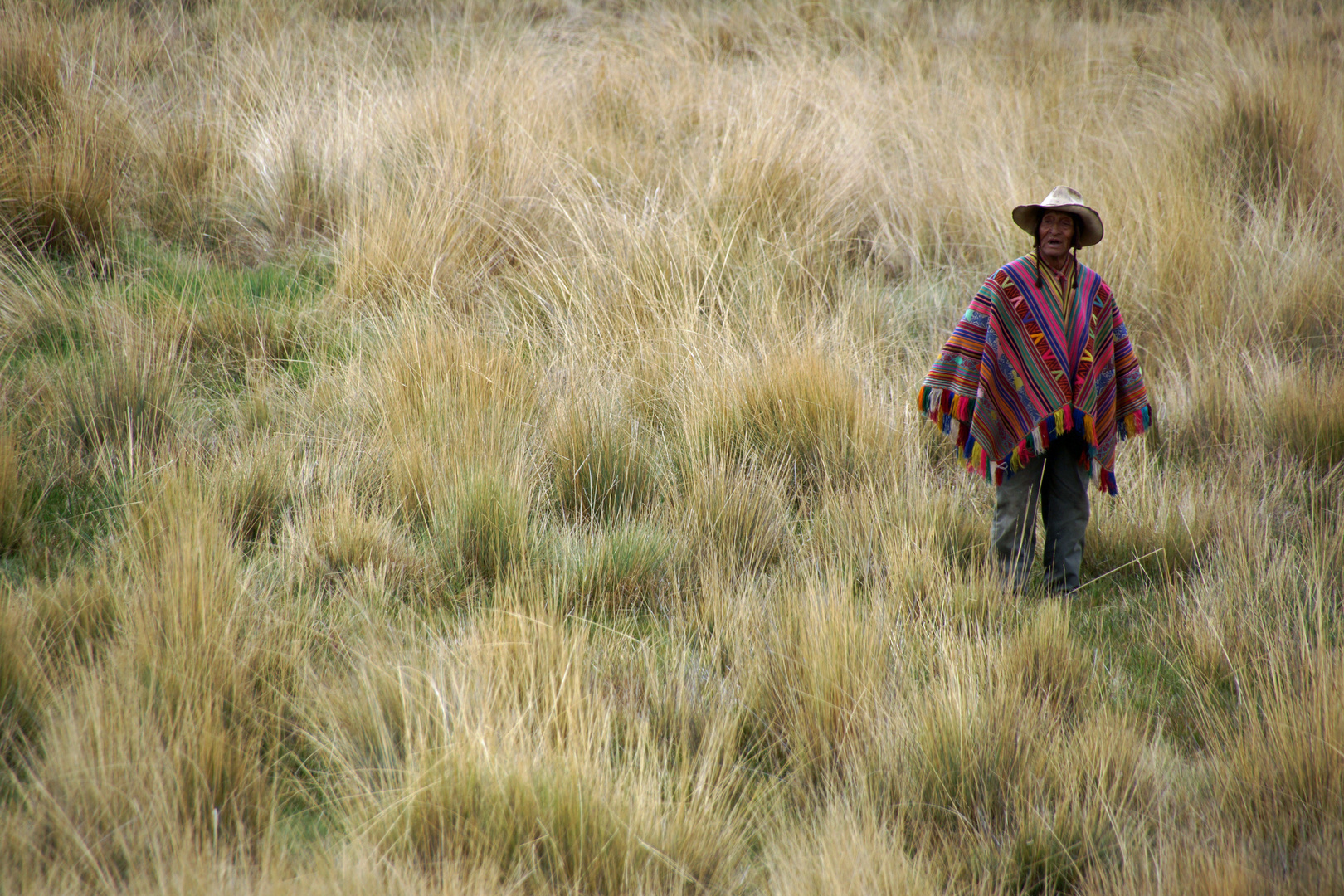 Peruaner im Poncho