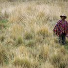 Peruaner im Poncho