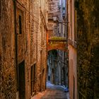 Perugia