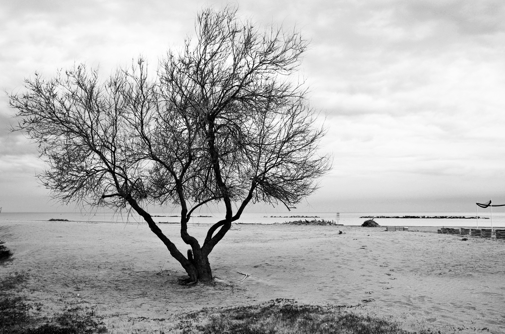 Pesaro - Baia Flaminia