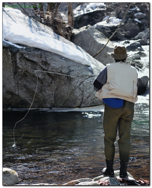 Pesca a mosca in torrente