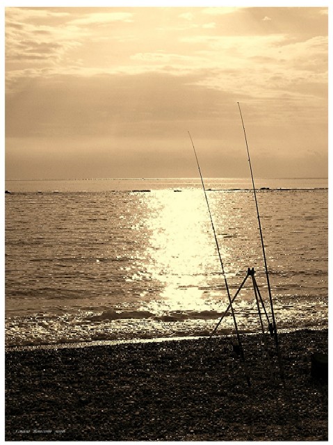 Pesca all'alba