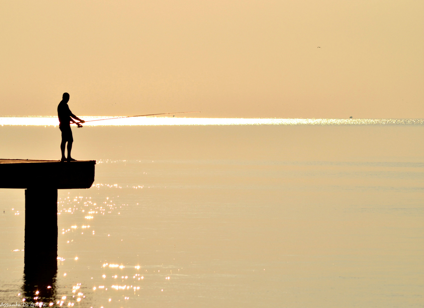 Pesca all'alba