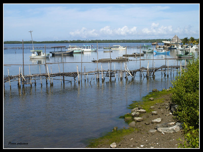 Pesca artesana