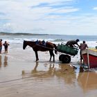 pesca artesanal en punta del diablo,rocha,uruguay.