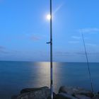 Pesca bajo la luna