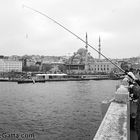 Pesca dal ponte di Galata