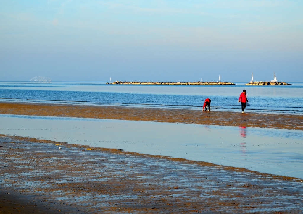 Pesca delle Vongole