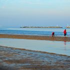 Pesca delle Vongole