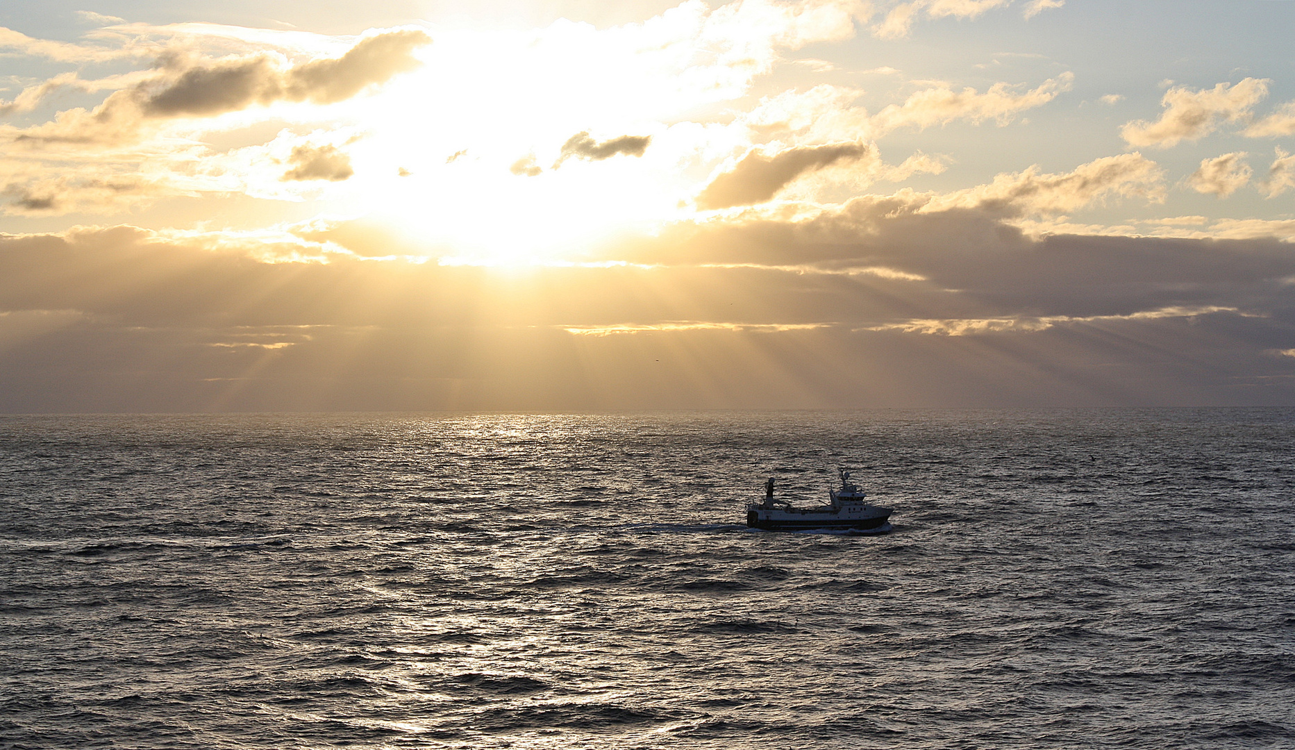 Pesca di mezzanotte