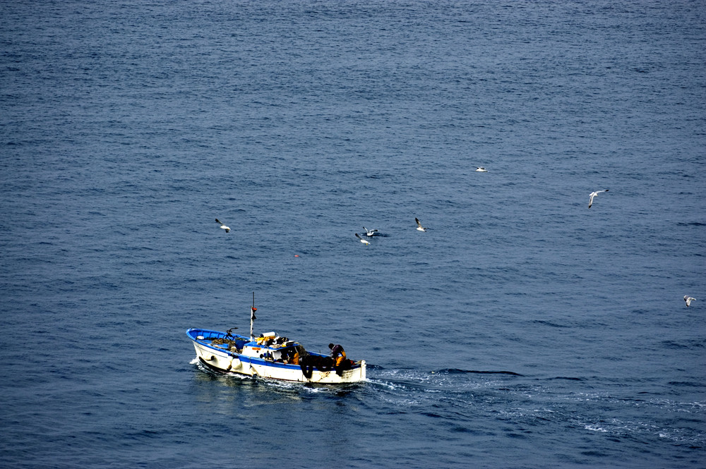 Pesca domenicale...