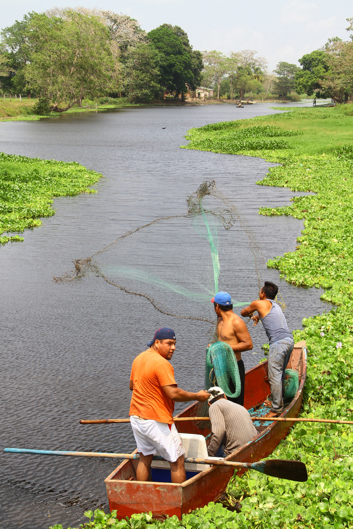 pesca en arrollo