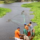 pesca en arrollo