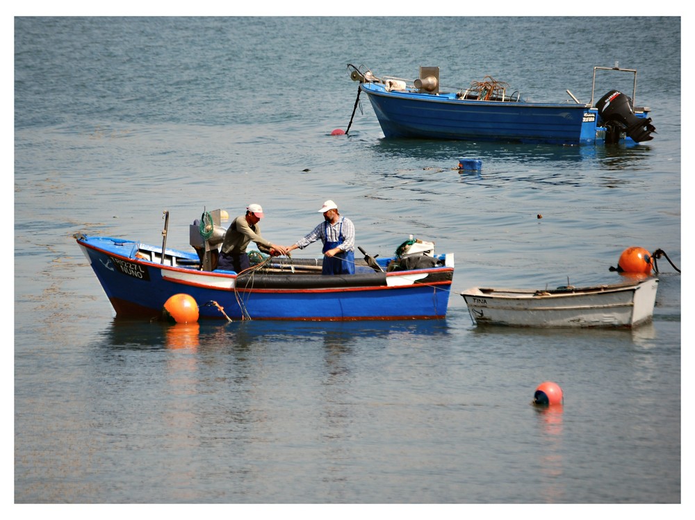 Pesca  na foz do Rio Tejo    «Trafaria»