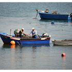 Pesca  na foz do Rio Tejo    «Trafaria»