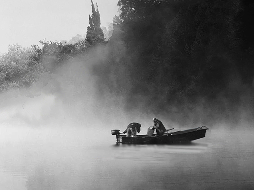 Pesca nella nebbia