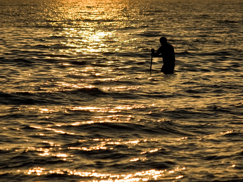 Pesca nell'oro colato