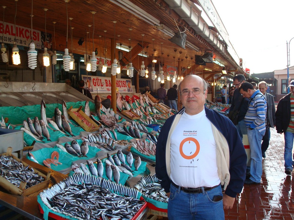 pescaditos en turquia