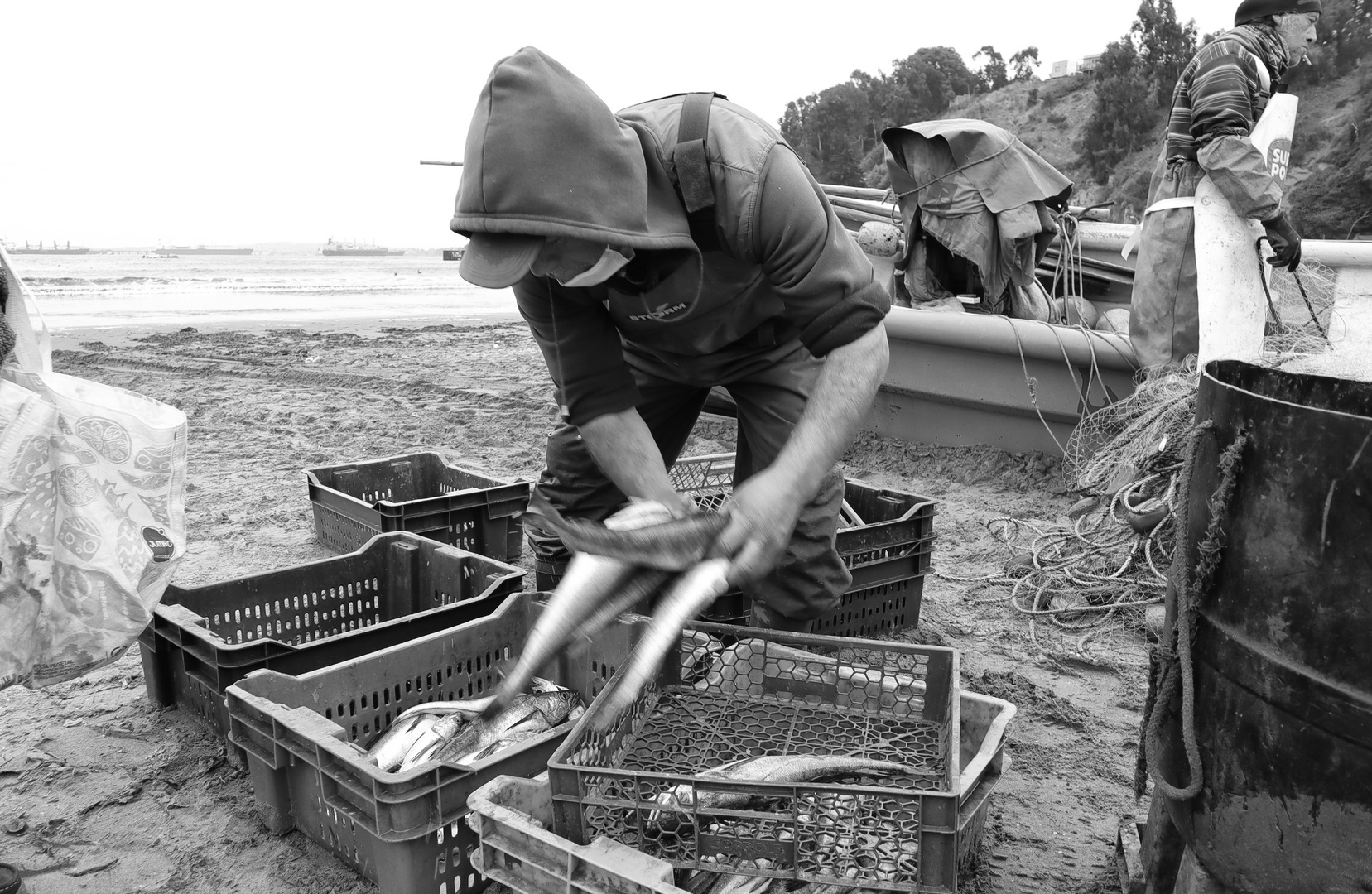 Pescador de Merluza