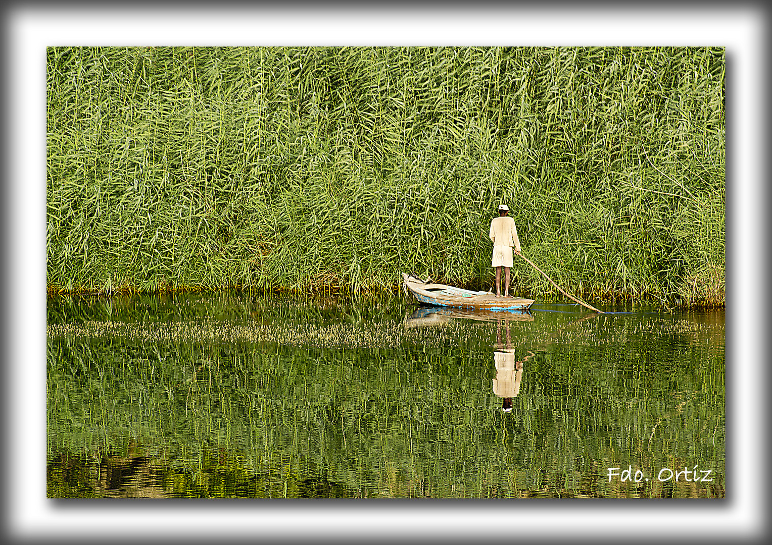 Pescador del Nilo