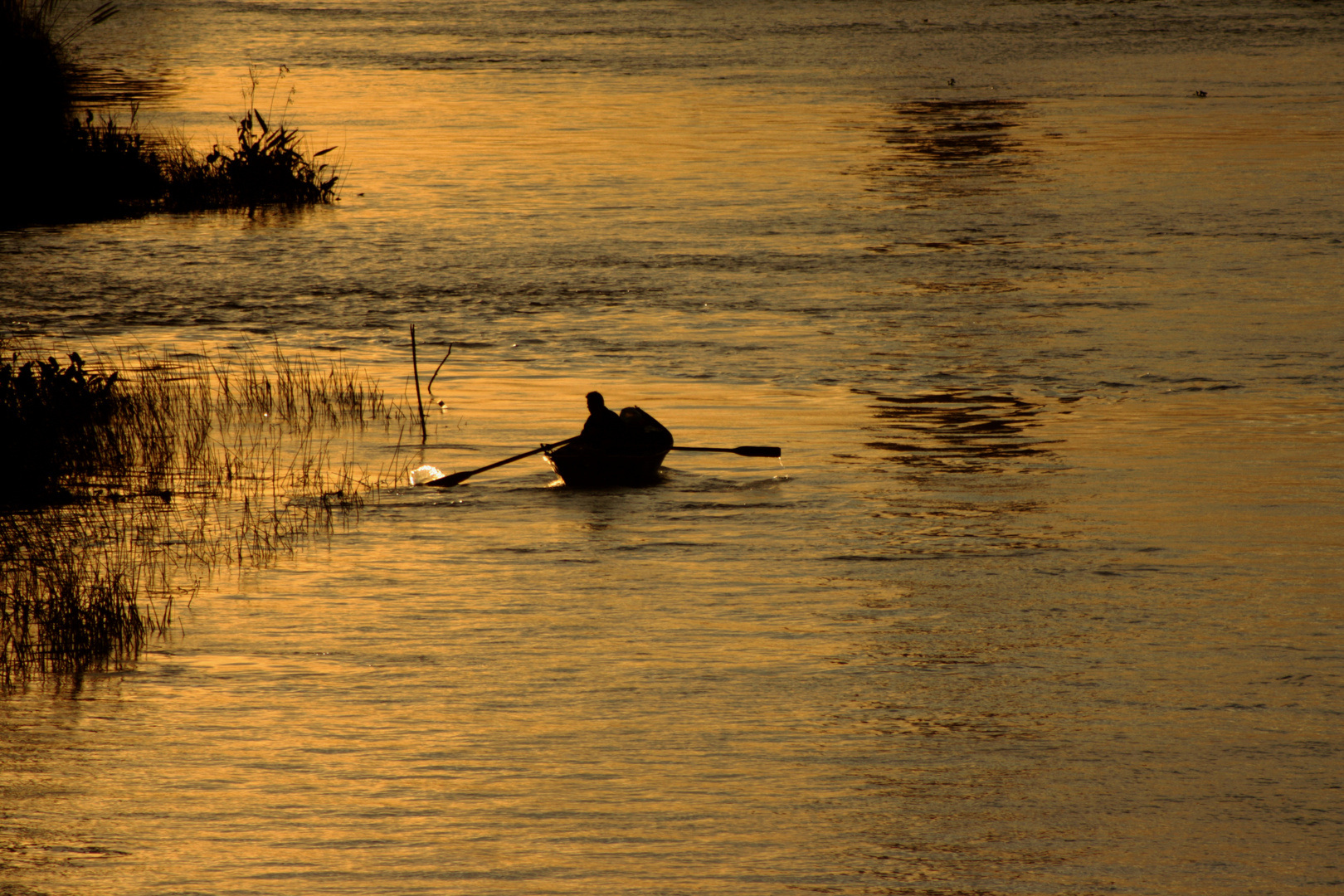 Pescador del Parana.