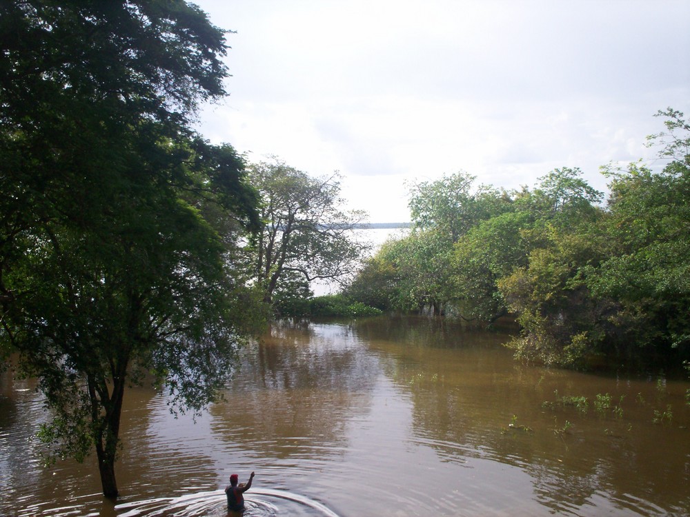 Pescador en el Orinoco-Venezuela