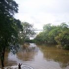 Pescador en el Orinoco-Venezuela