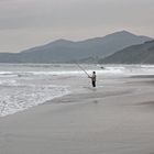 Pescador en Maitencillo