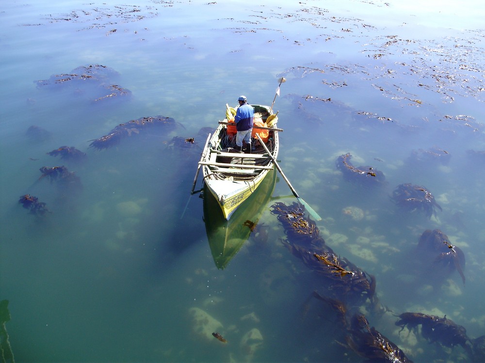 Pescador iniciando su trabajo en el mar.