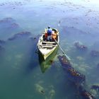 Pescador iniciando su trabajo en el mar.