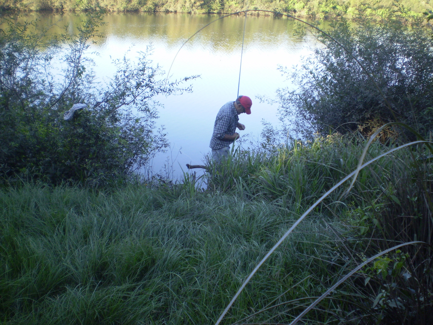 PESCADOR SOLITARIO