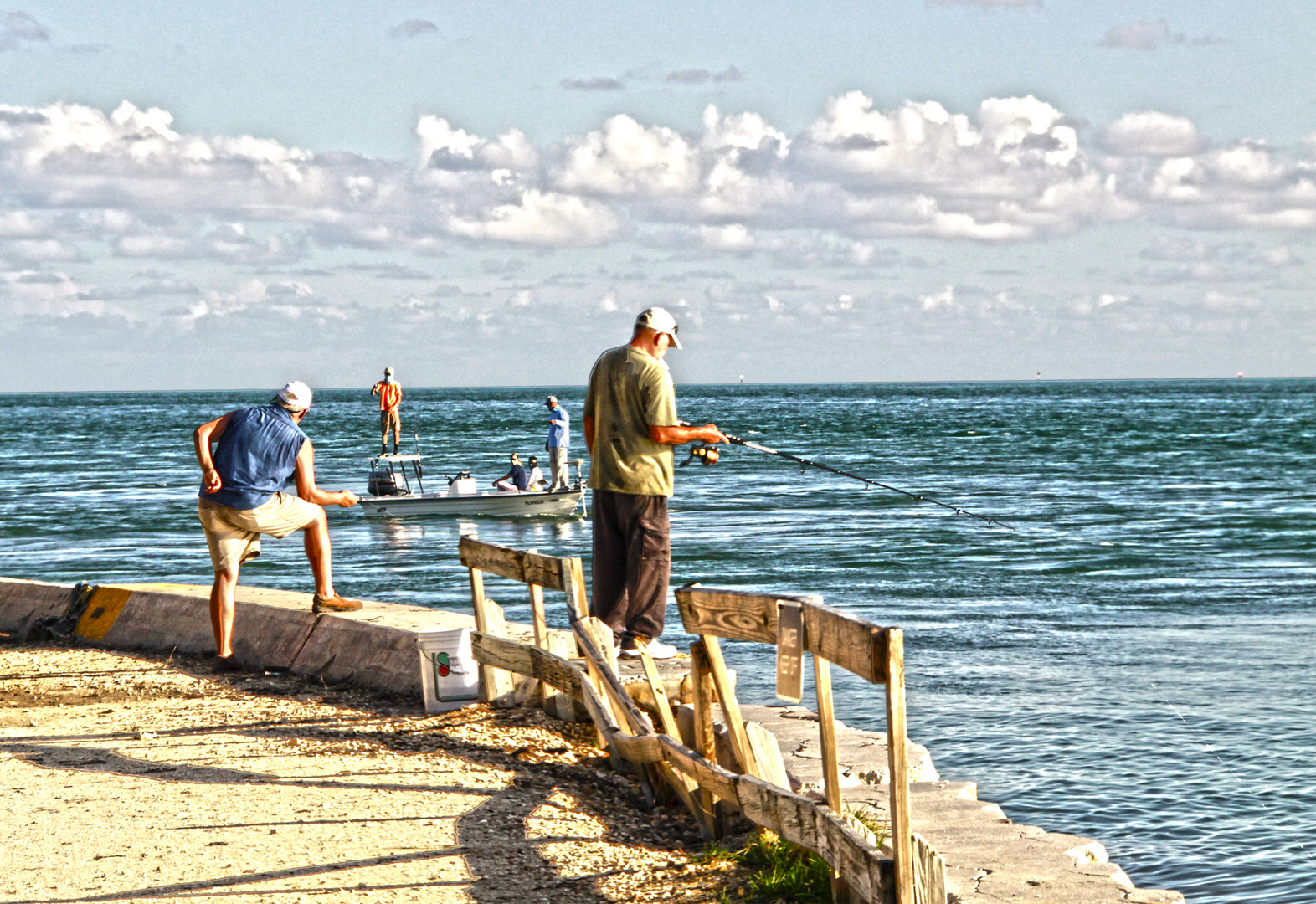 Pescadores cabo vizcaino Miami