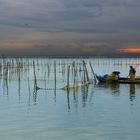 Pescadores de L'Albufera