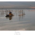 Pescadores de L'Albufera II