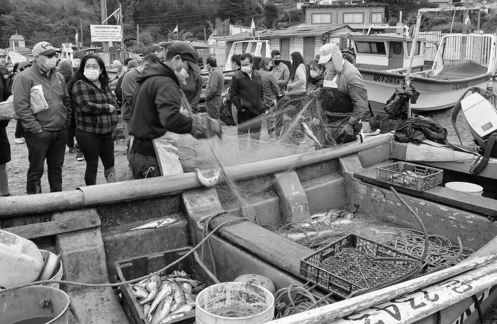 Pescadores de Merluza