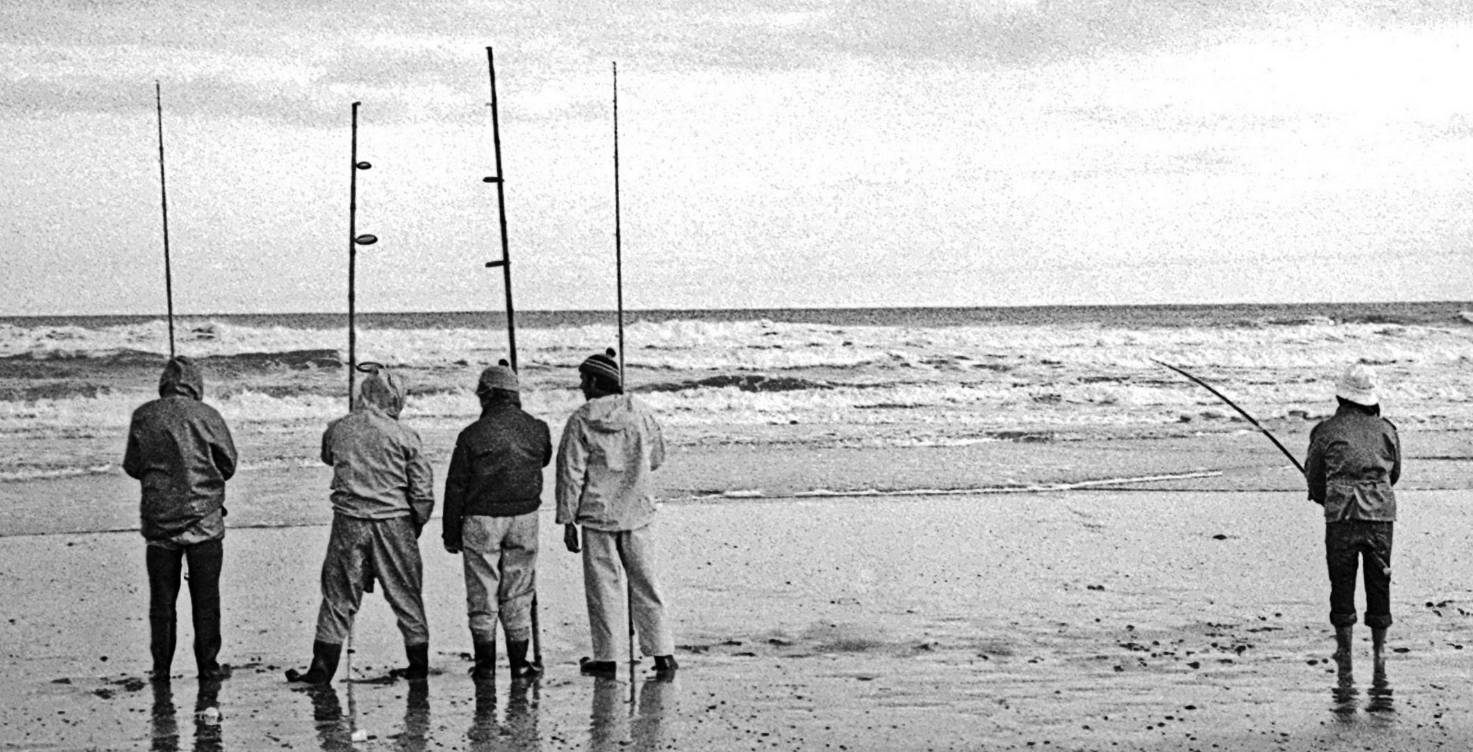 Pescadores de tiburón