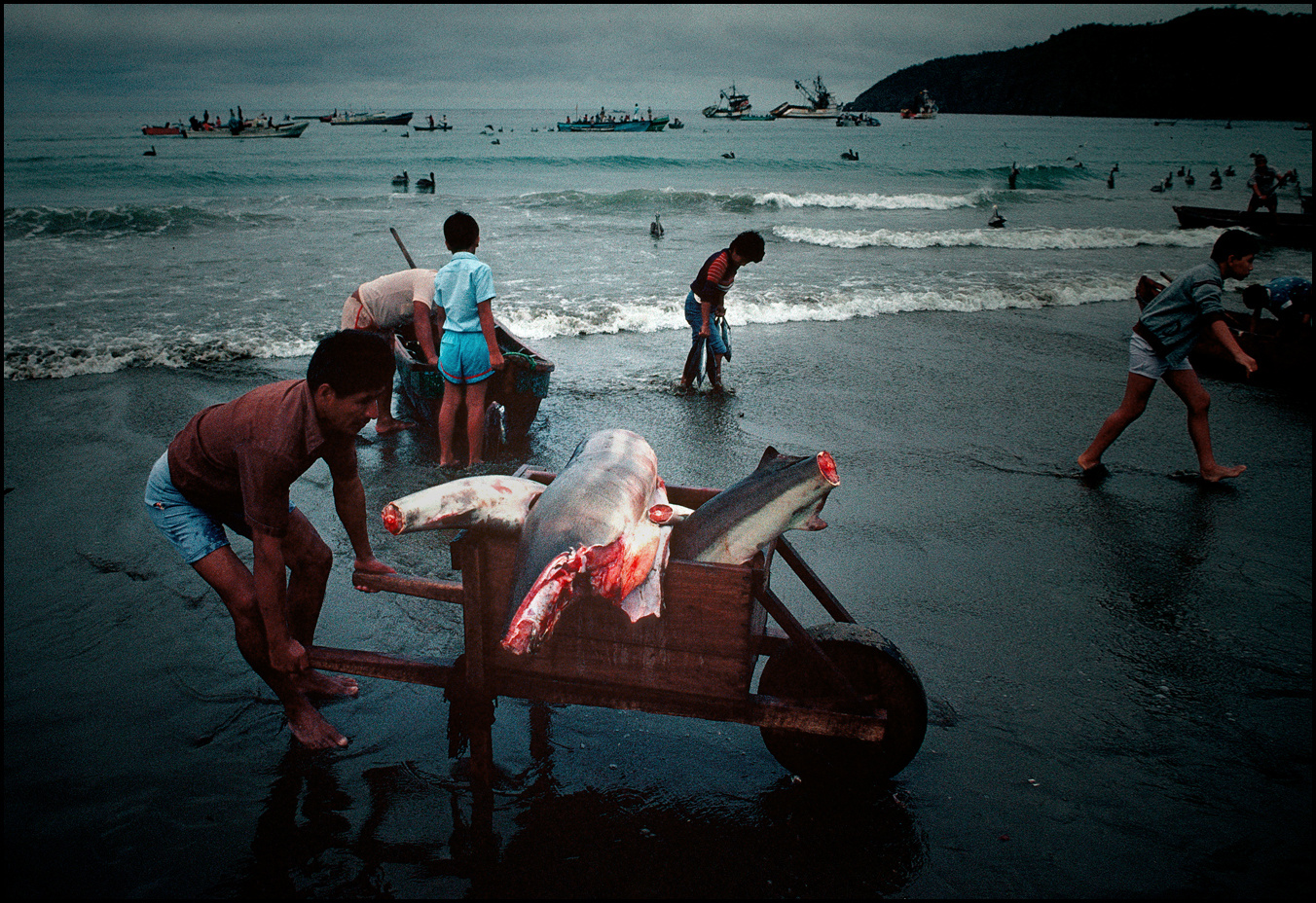 Pescadores I