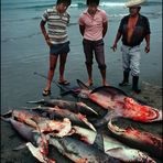 Pescadores II