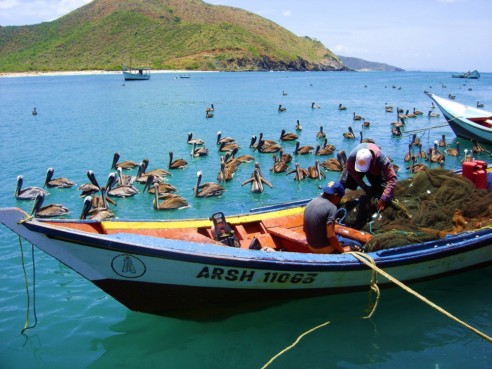 PESCADORES MARGARITEÑOS