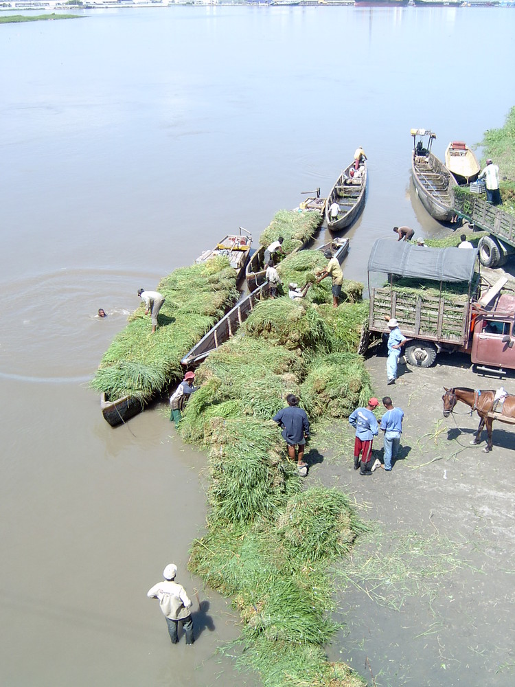 pescadores puerto colombia